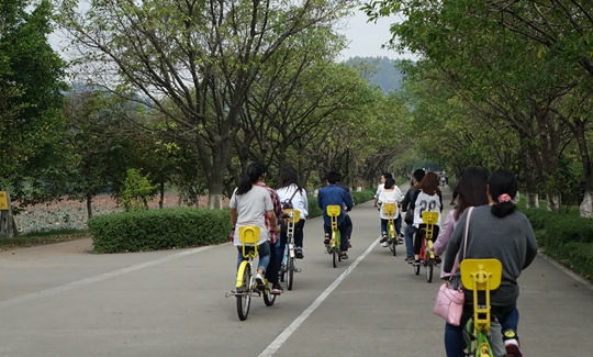 Tuoyuan Team Outdoor Team Building at Dafu Mountain Forest Park